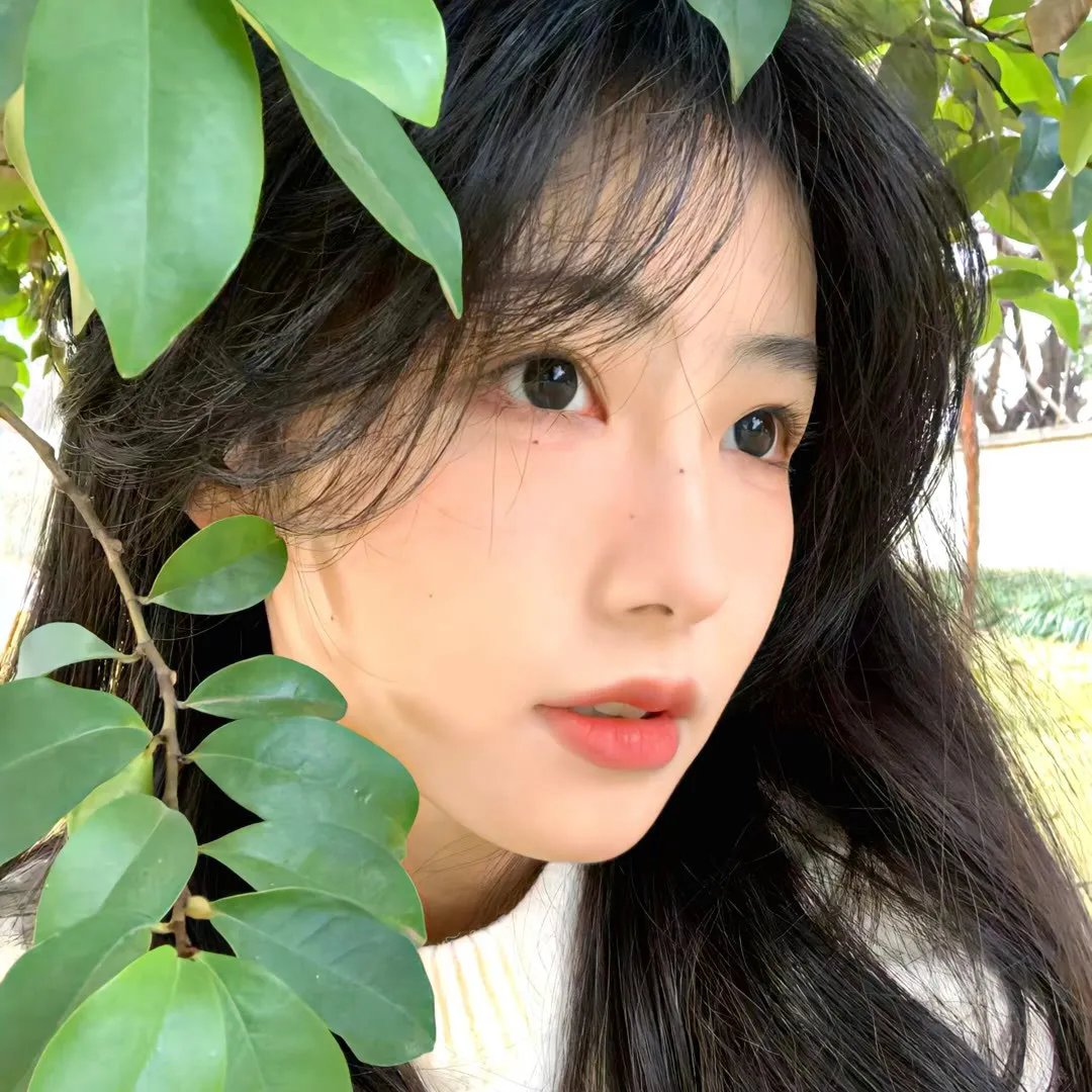 拍得不错